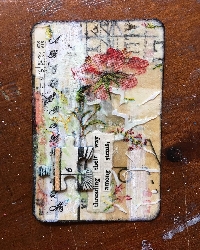 AACG: Tissue Time ATC