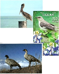 SIGN UP TO WIN 3 USED BIRD POSTCARDS