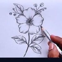 HP/HD inchies + tuck in - March 2026 