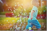 CSG ~ (Email Swap) Bible Study on Diligence