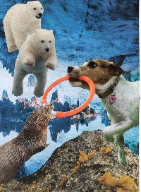 CO Surreal College #14