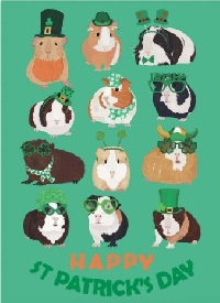 St. Patrick's Day Card - Words