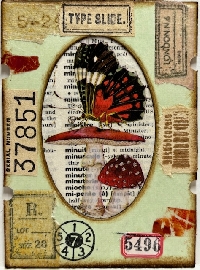 AIA: Specimen Slides - Botanical