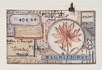 Spring Specimen Card