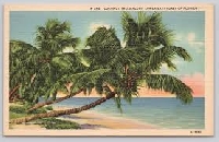 BS&S ~ April is EARTH MONTH