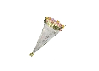 Pictures, drawing & a letter about your town