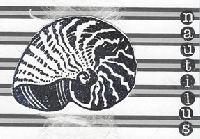 JAMS: Black and White