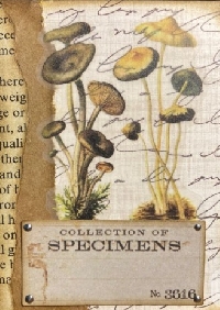 USAPC:  3 Elements ATC #117