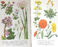 WIYM: Journal Supplies:  Book Pages   US