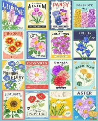 Flower Seed Swap With Card #1 - US Only 