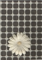 JAMS: Flower or Flowers Focal Point