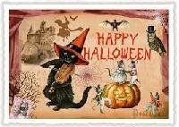 HS : Halloween Postcard Sender's choice - USA 