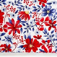 MAE: Red, White and Blue  Envies USA