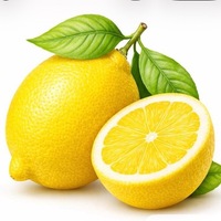 Lemon Theme Paper Craft