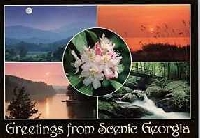 WIYM: NAKED MULTIVIEW POSTCARD 