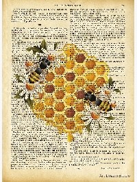 TA - Book Page Printing/Stamping