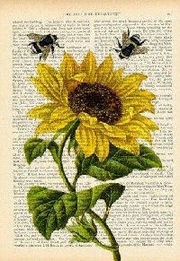 Book Page Printing/Stamping