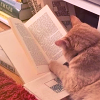 What I Read This Month 