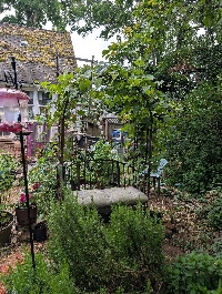 BS&S ~ Pictures of your garden