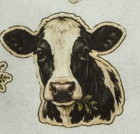 USA ATC: Cows
