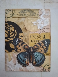 ETHP: ATC 3 Elements # 12
