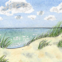 WIYM: Let's Enjoy Beaches USA