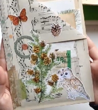 YTPC: Penpal Project #3    US