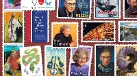 MZA:  Postage Stamp Scavenger Hunt #2