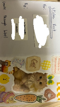 Sticker  Book /Sticker Slam Swap#47 INT