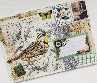 MFF:  Bird Mail Art w/Bird Ephemera