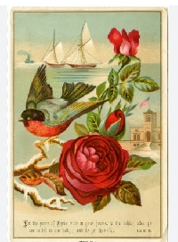 VC:  Vintage Bird+Flower ATC  US