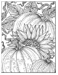 Fall - Adult Coloring Page USA only