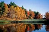 WIYM: NAKED AUTUMN/FALL SCENE - 2026