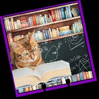 MemoryDex Theme – Back to the Books 📚
