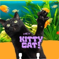 Memorydex Theme - Black Cat🐈‍⬛