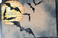 HS:  Bat Mail w/a Tuck-In  US/Canada