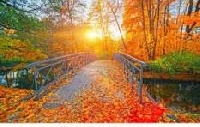 FALL inchies 