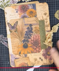 YTPC:  Ephemera Wallet + Ephemera