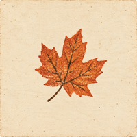 THE UNREASONABLY SPECIFIC FALL POSTCARD HUNT