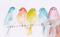YTPC:  Let's Paint Watercolor Birds