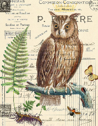 MFF:  Bird Tag: Letter O