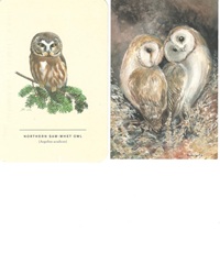 SIGN UP TO WIN 2 USED OWL POSTCARDS