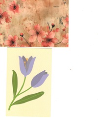 SIGN UP TO WIN 2 WALL ART FLOWER ART CARDS