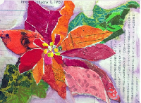USAPC:  ICAM November #2: Poinsettias