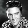 We Love Elvis!!!