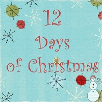 12 Days of Christmas for Newbie Group