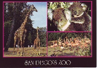 3P's Postcard Swap - Animals