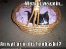 Handbasket to ....