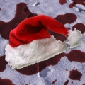 MMBC: Have A Holly Jolly Murder-Book Swap