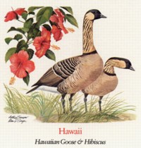 State Bird and State Flower ATC: Hawaii